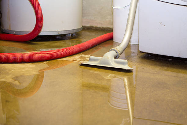 Best Flooded house restoration  in Huntington Park, CA