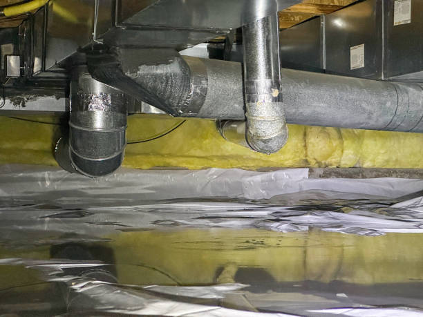 Best Local water damage restoration  in Huntington Park, CA