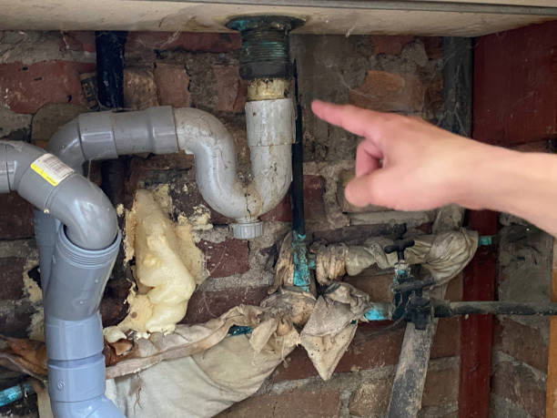Best 24-hour water damage restoration  in Huntington Park, CA