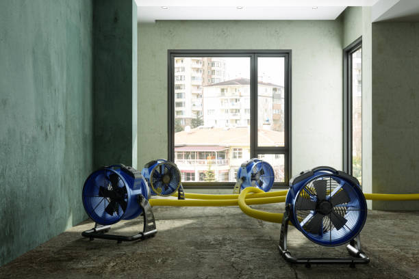 Best 24/7 water damage repair  in Huntington Park, CA