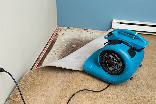 Best Commercial water damage restoration  in Huntington Park, CA