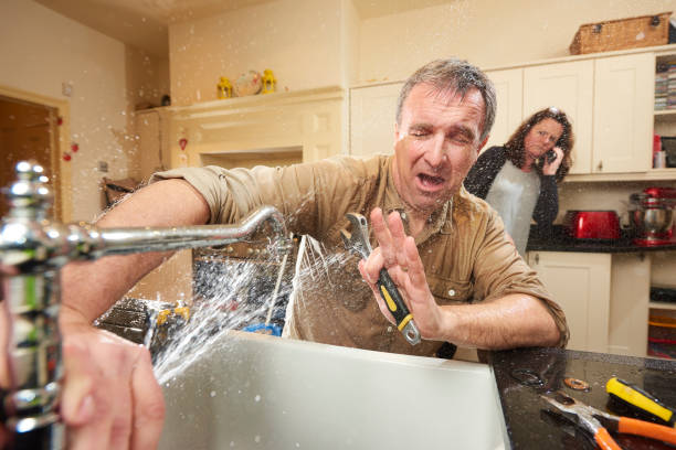 Best Mold removal after water damage  in Huntington Park, CA